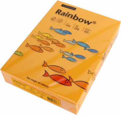 Papier ksero ekologiczny Rainbow, A4, 160g/m2, 250 arkuszy, pomarańczowy jasny (R22)
